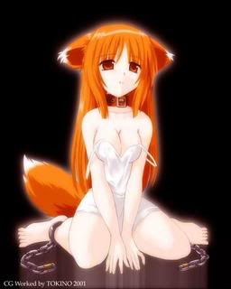 Fisa personaj Anime-fox-girl
