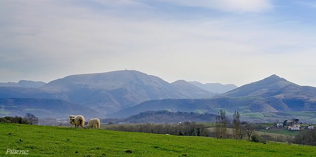 Routes des cimes..et avancée du chenil... 02