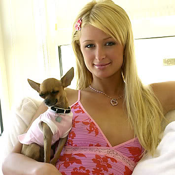 Paris Hilton - Page 2 Paris_hilton-1