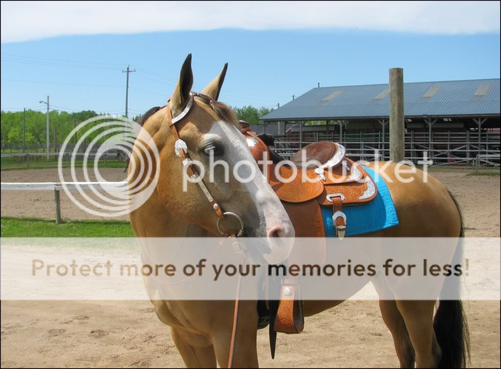 4H horse show & June Valley Reiners 4-HShow109261