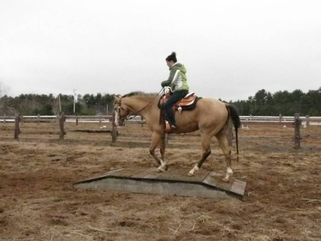 Pictures of me riding BowiesClinicApril170