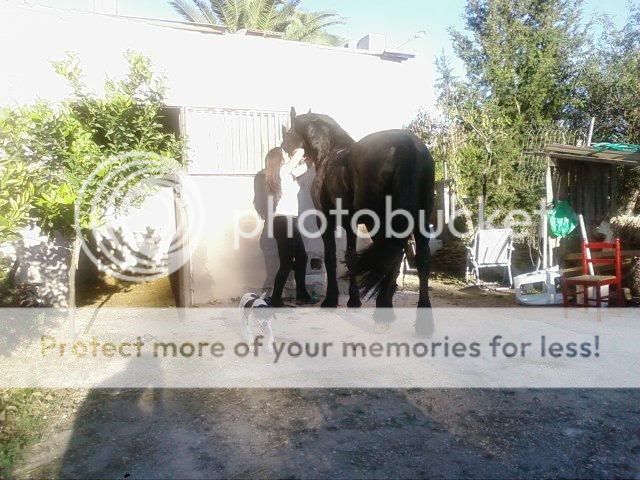 Lur, cruce de bodeguera, menos de 1 año, Almería Foto0859