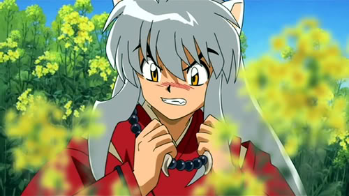 Inuyasha [movie, manga, anime,...] 221