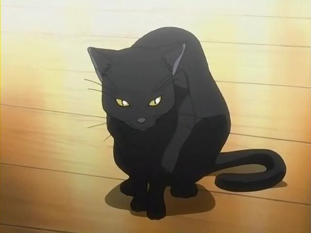 Lunar!~ :D (Akira's pet) Blackcat