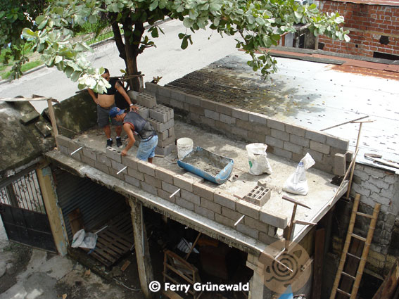 Building a pond for South-American Snapping Turtles  14