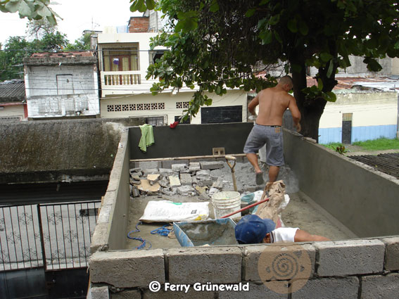 Building a pond for South-American Snapping Turtles  20