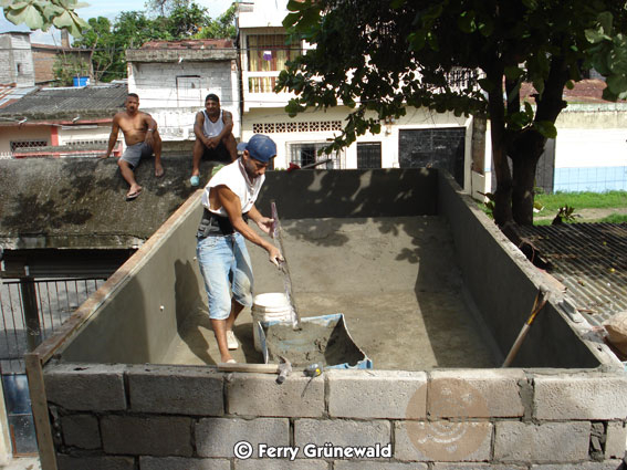 Building a pond for South-American Snapping Turtles  25