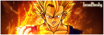 IronBroly"Broly03" Gallerie Vegito