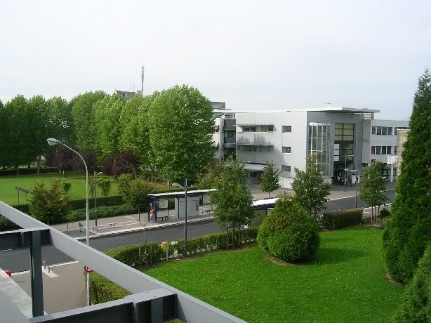 Psychologie licence et master - Les branches psycho à l'Université de Rouen Campus