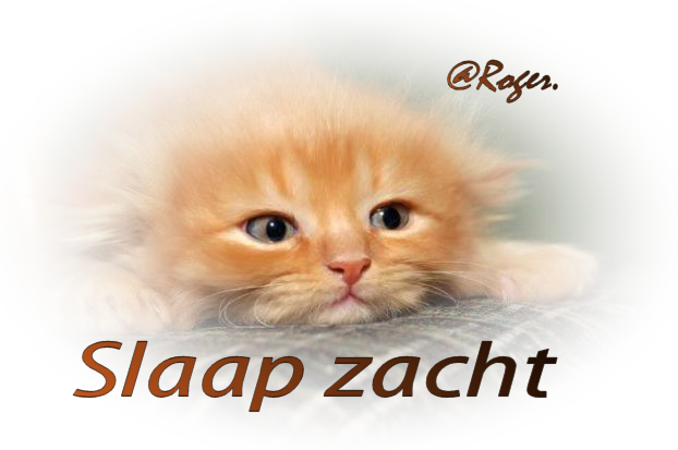 Roger zijn tuben Poes3test3