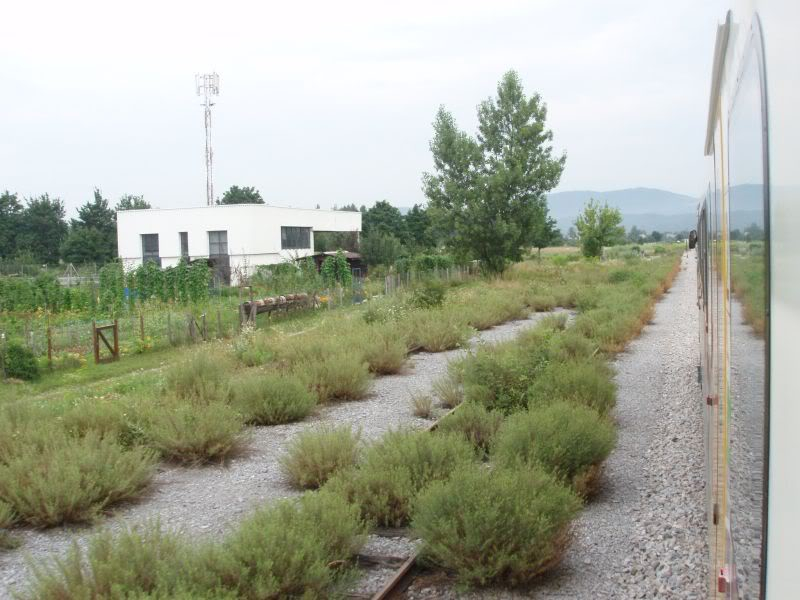 Ljubljana - Kamnik i Trebnje - Sevnica, 31.07.2008 P7310065