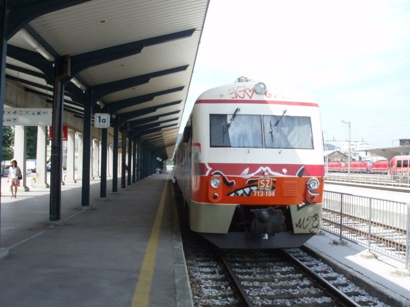 Ljubljana - Kamnik i Trebnje - Sevnica, 31.07.2008 P7310193