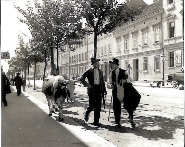 Stare razglednice drugih gradova DD014