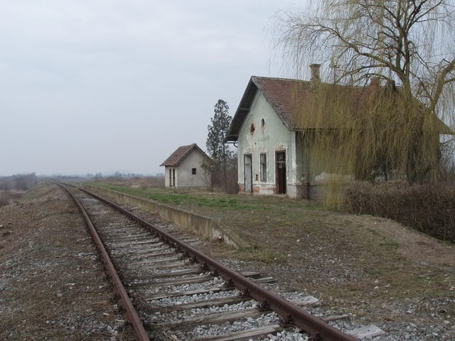 Prva vonja vlaka na pruzi Vinkovci-Osijek P2210060