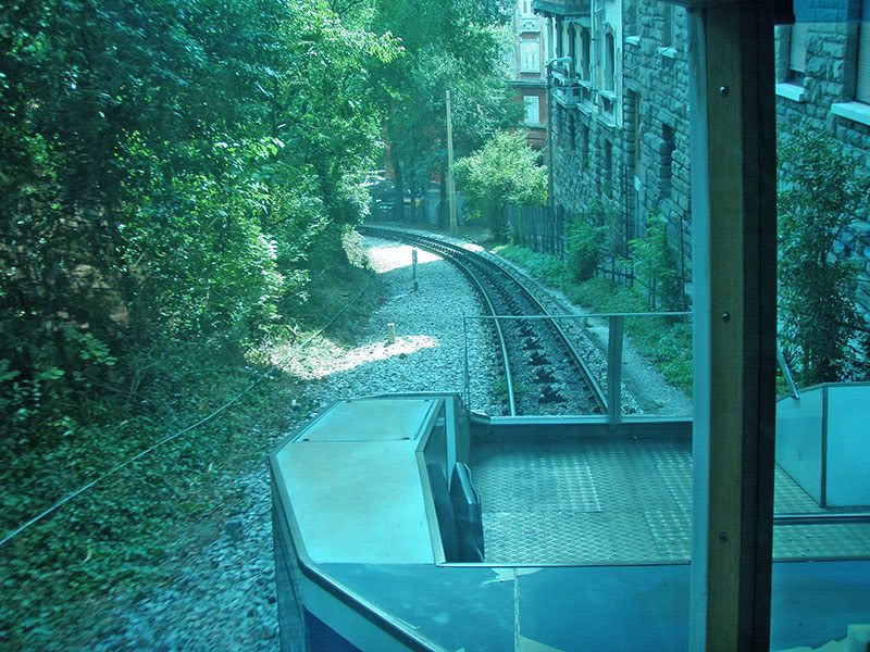 Tram de Opcina / Tram di Opicina P8090133res