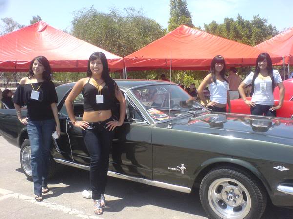 4to Aniversario del Mexicali Mustang Car club L_423f134301aad575bd7a2063143f8c11