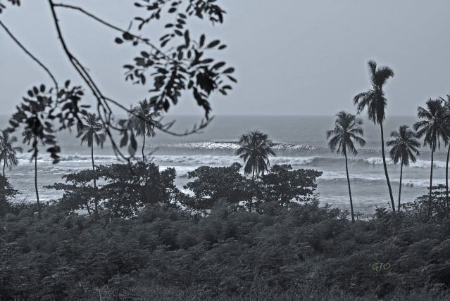 *Ultimo Swell (12/29/09)...!* DSC_1078copy