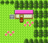 Playthrough: Pokemon Crystal 60