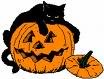 Tournoi thème halloween du samedi 30 octobre Citrouille_chat