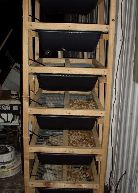 Rat Breeding the Redneck Way RatRack