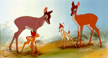 Bambi iel Bambi