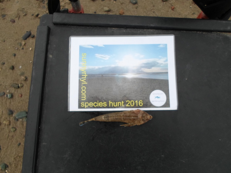 Squidward`s 2016 species hunt SAM_0375