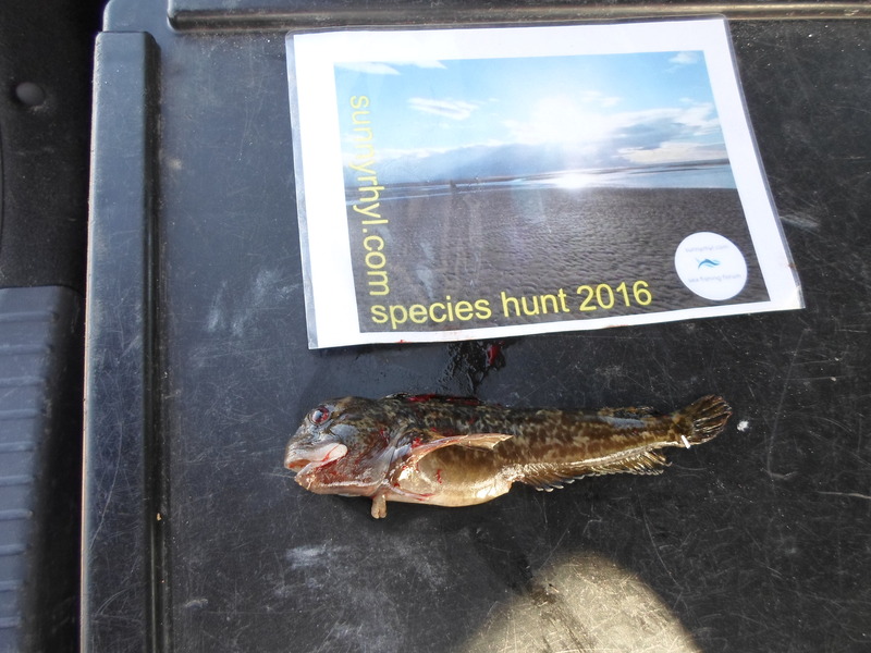 Squidward`s 2016 species hunt SAM_0388