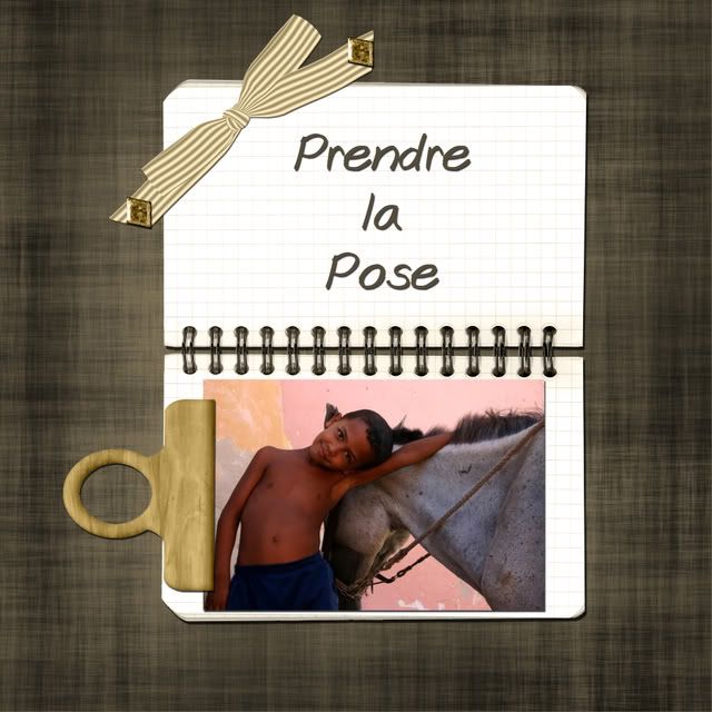 Challenge 1 Prendrelapose