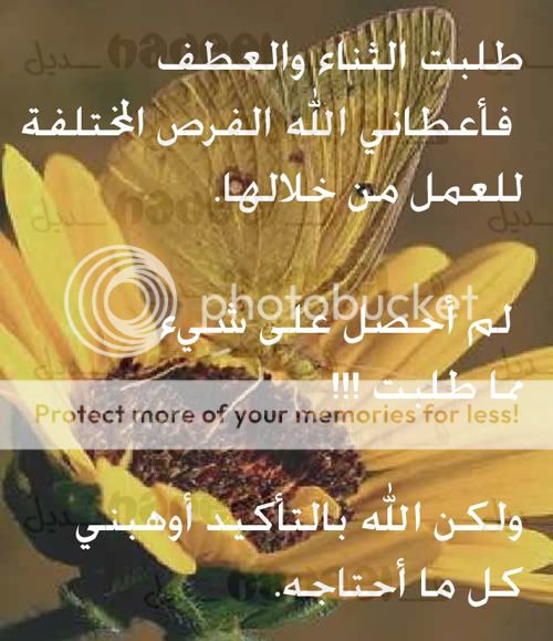  لفراشهـــــ 9