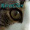 cat-facts1112.jpg River Clan image by lillystar2007