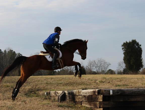 Baby Racehorses! Hillcrest1-27-13