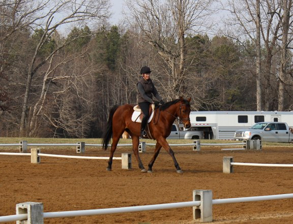 Baby Racehorses! Hillcrest1-27-132