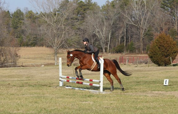 Baby Racehorses! Hillcrest1-27-133