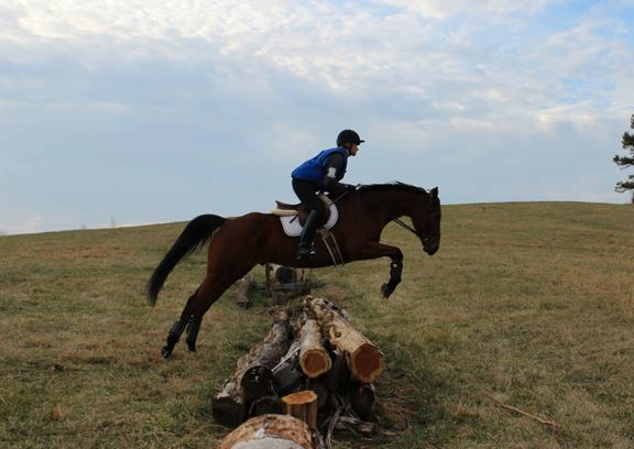 Baby Racehorses! Hillcrest1-27-139