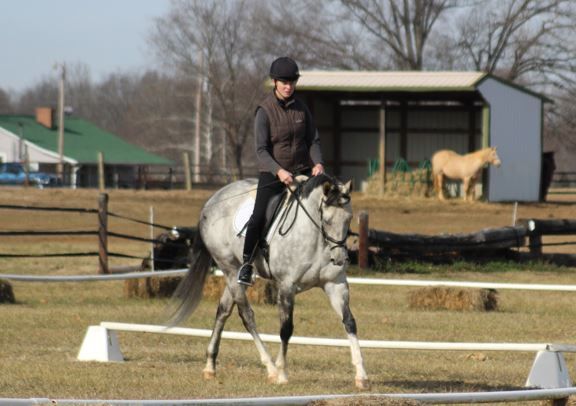 Baby Racehorses! 555229_4866494494786_304410387_n