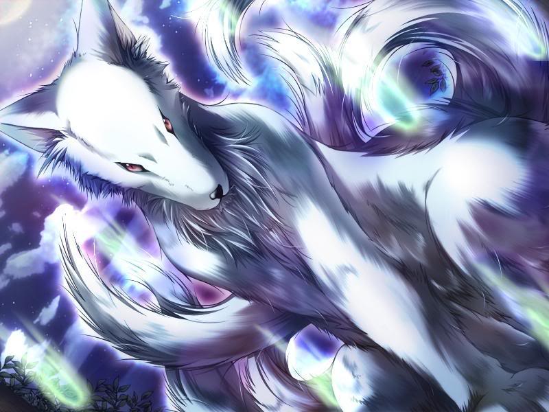 Kai Hiraga... 9 colas son todo lo que necesito... Kitsune