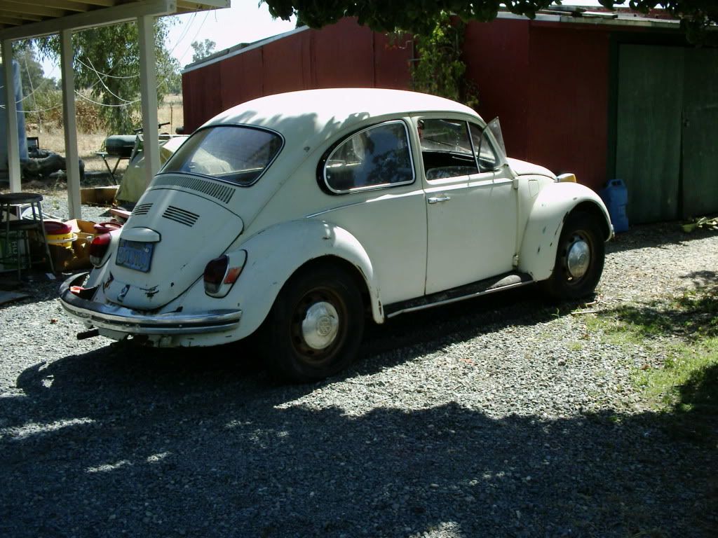 My 1970 Street Bug Bug14084