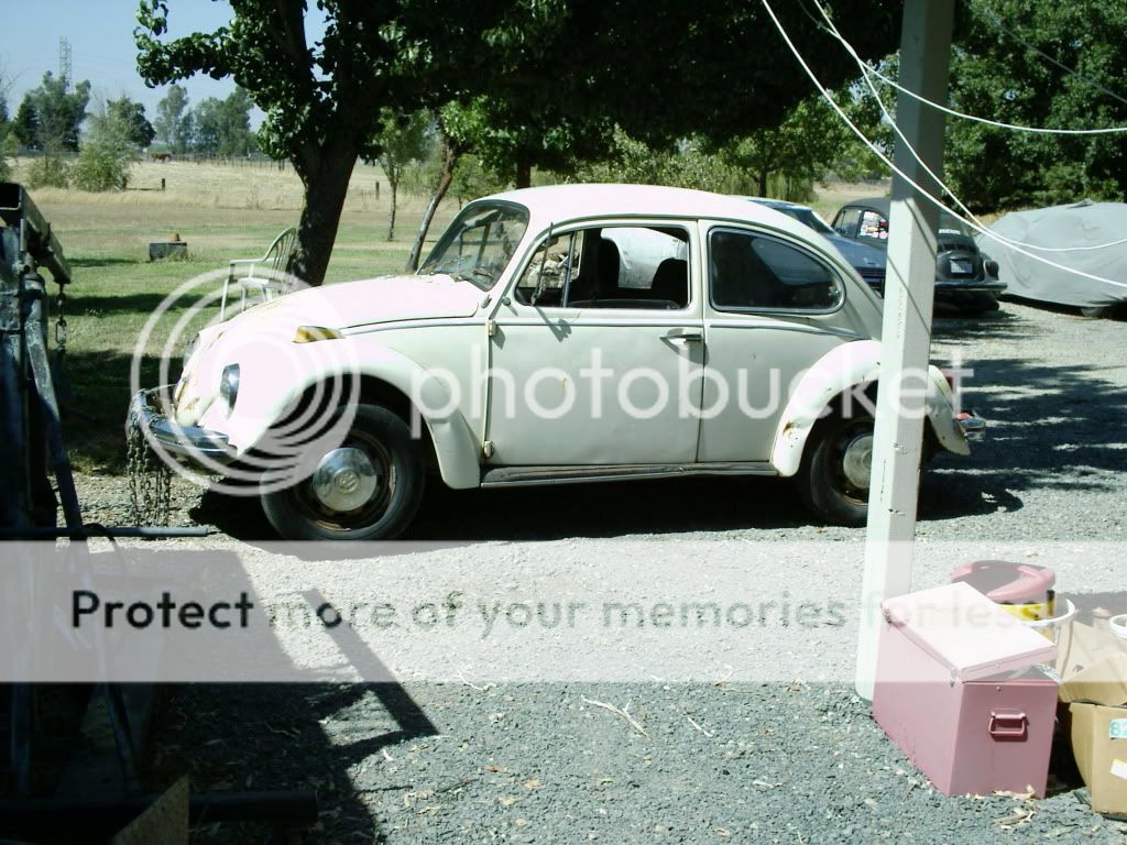 My 1970 Street Bug Bug14086