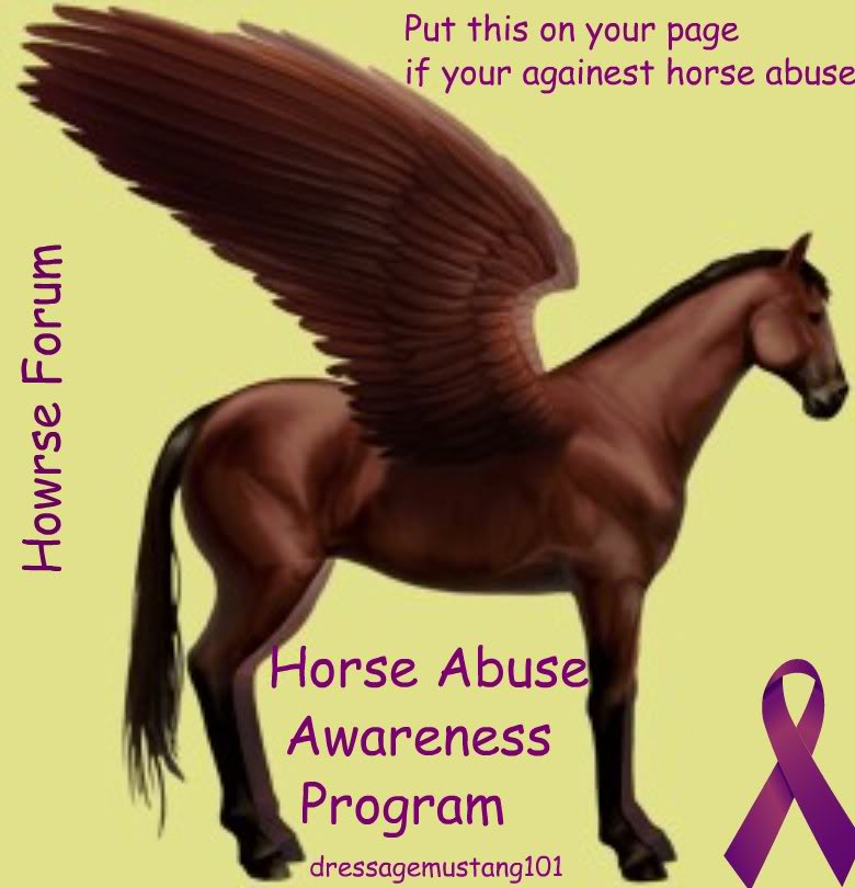 Horse Abuse Awareness Program Horseabuseawarenessprogram