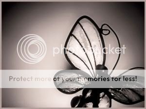 <3  ΤhE BuTTerFLy eFFecT <3 - Σελίδα 2 Butterfly