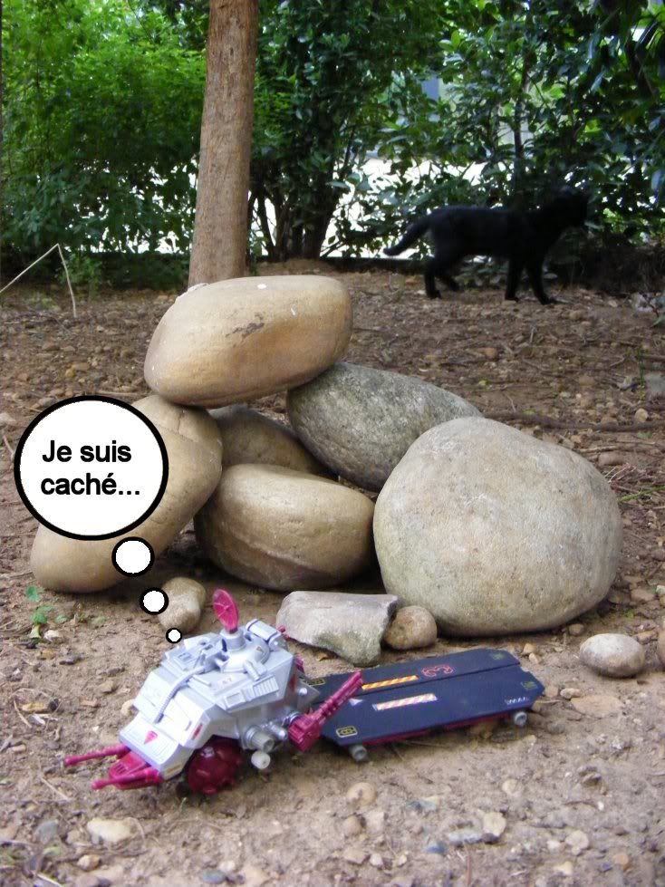 "Des Animaux et des Jouets" [photo] MAJ page 1 - Page 3 Bastet1fr