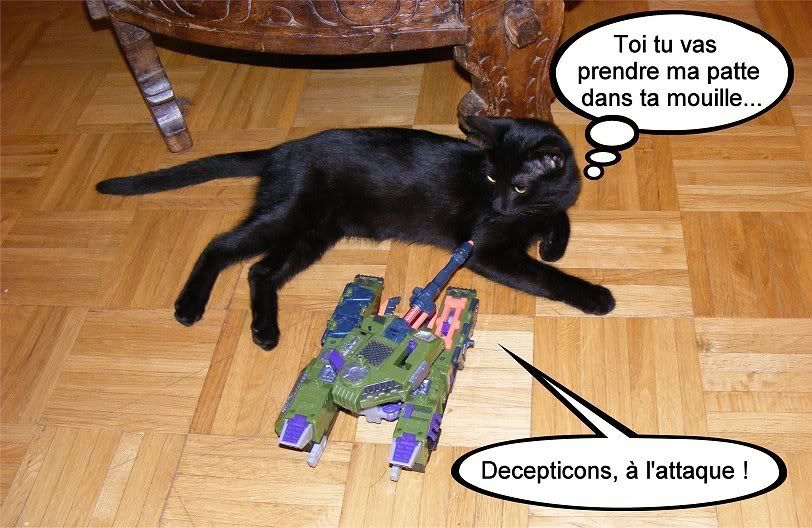 "Des Animaux et des Jouets" [photo] MAJ page 1 - Page 3 Megatronbastet