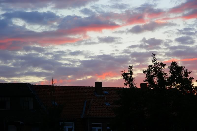 Abendstimmung Nr5