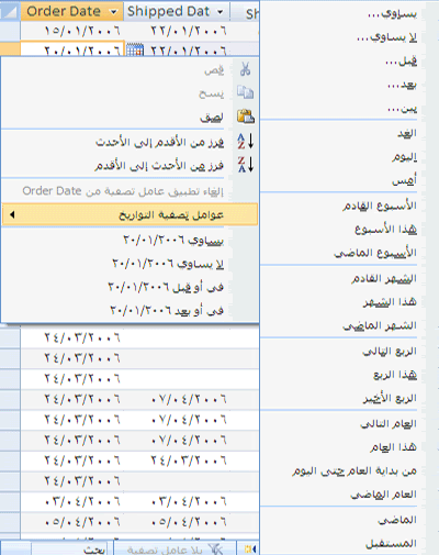   Microsoft Office Access 2007 24