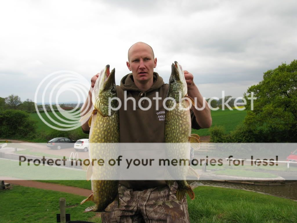 New Tardebigge Residents - PIKE !!!! And LOTS of them !!! IMG_0765