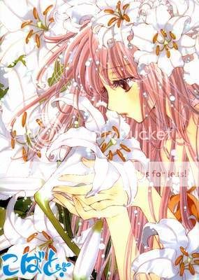 Collection of Clearfile Kobato0708C