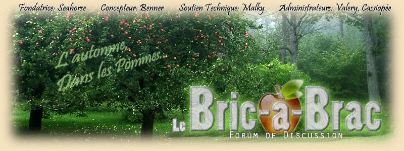 Le Bric--Brac!!! Logo-1