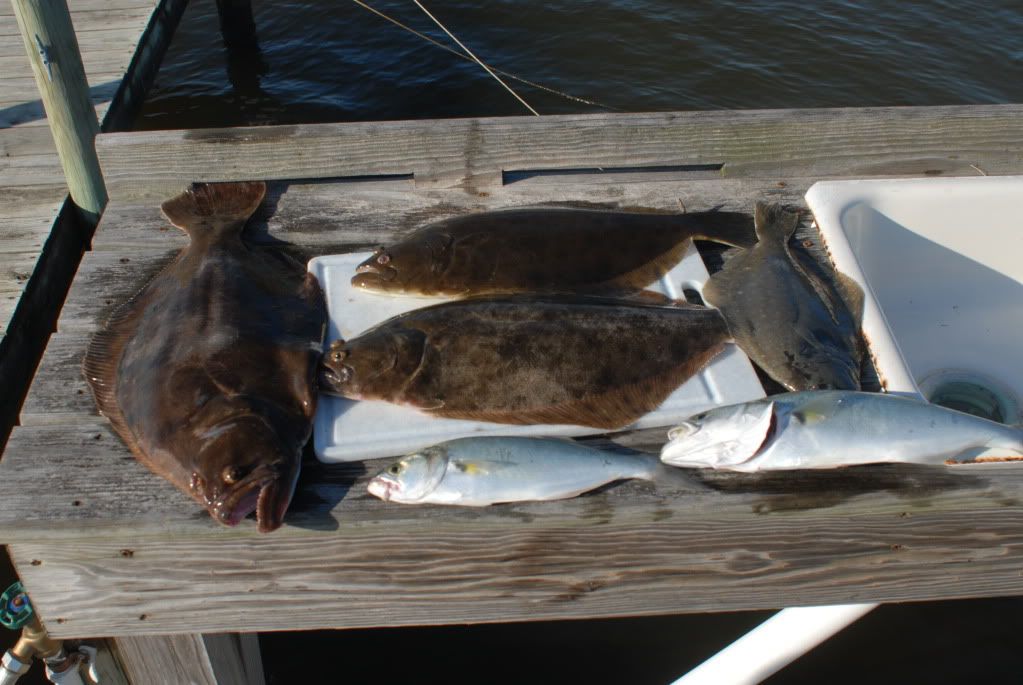 Chesapeake Bay Fishing - 15 & 16 July DSC_0128