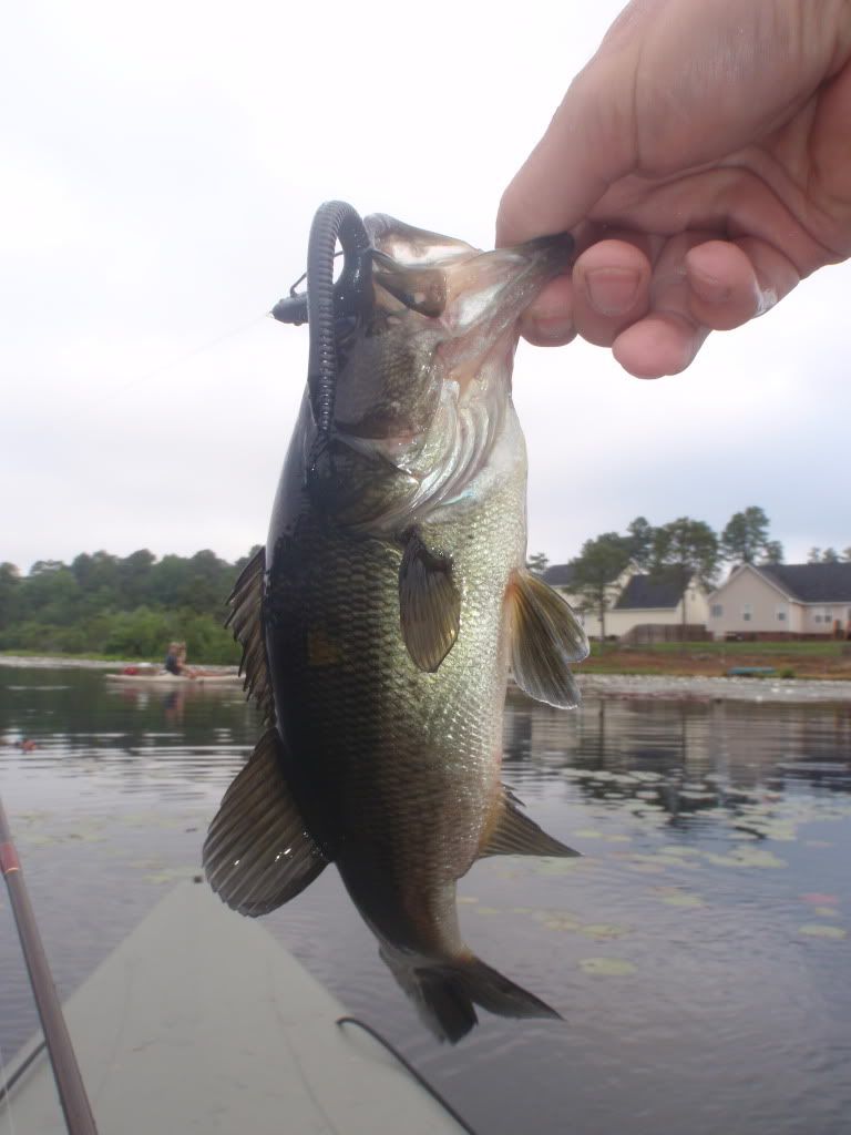 Bass Extravaganza - Kayak Fishing Trip 15 May! P5150003