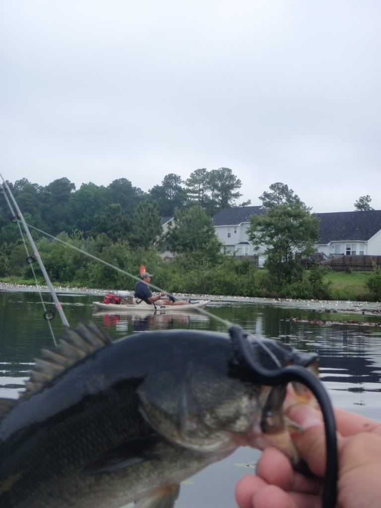 Bass Extravaganza - Kayak Fishing Trip 15 May! P5150004